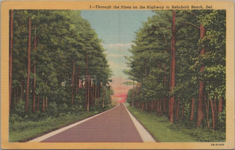 Postcard Through The Pines on the Highway Rehoboth Beach DE