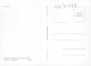 BG31287 bled slovenia   CPSM 14.5x10cm