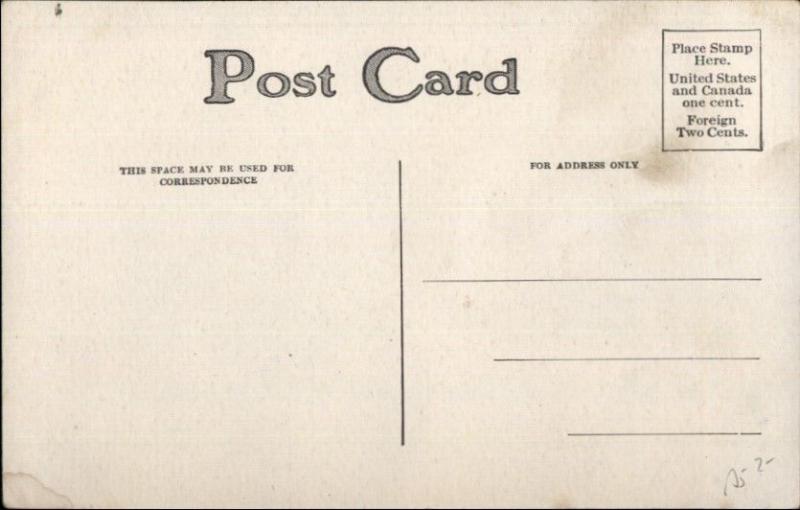 Black Americana - Man's Head on Chopping Block White Man Executioner c1910