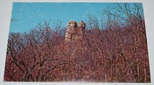 Twin Sisters Mississippi Palisades State Park Illinois Postcard L. L. Cook Co.