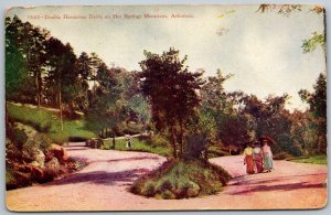 Hot Springs Mountain Arkansas 1910 Postcard Double Horseshoe Drive