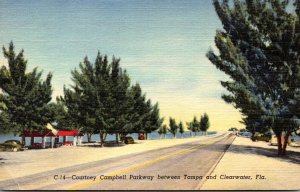 Florida Clearwater Courtney Campbell Parkway Curteich