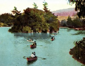 Boating On Stow Lake Golden Gate Park San Francisco California Postcard Antique