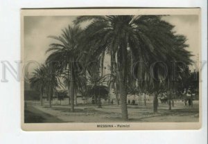 443358 Italy Messina embankment and palm trees Vintage photo postcard