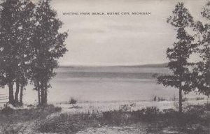 Michigan Boyne City Whiting Park Beach Artvue