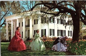Postcard HOUSE SCENE Natchez Mississippi MS AJ5198