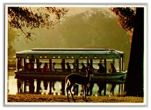 Postcard FL Florida's Silver Springs Continental View Card Glass Bottom Boat