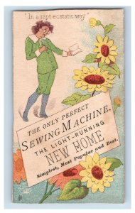 1880s New Home Sewing Machine Oscar Wilde Aesthetic Movement Jacob Simon F105 