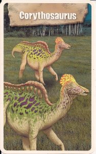 DINOSAUR, Corythosaurus, Science Fact Card, 1960's - 70's, Late Cretaceous