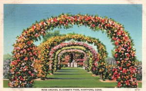 Vintage Postcard 1939 Rose Arches Elizabeth Park Green Isle Hartford Connecticut