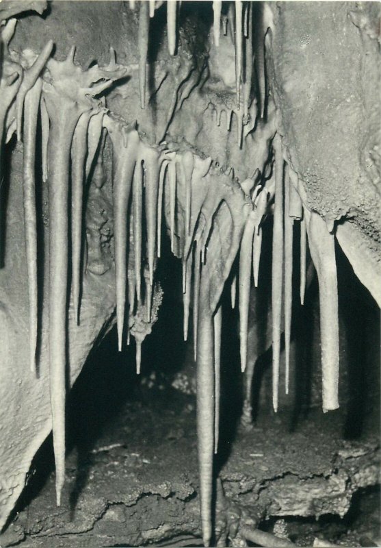 Czech Republic javoricko caves smooth pipe like formations with added Postcard