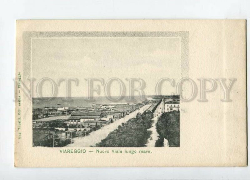 3113975 Italy VIAREGGIO Nuovo Viale lungo mare Vintage PC