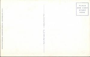 US WWII Era B-25 Medium Bomber Airplane Postcard