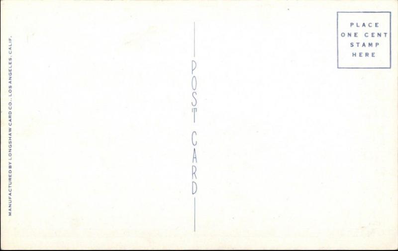 US WWII Era B-25 Medium Bomber Airplane Postcard