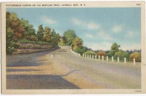 Picturesque Curves On Mohican Trail Catskills NY 1940