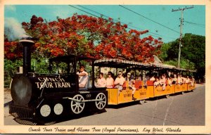 Florida Key West Conch Tour Train and Royal Poinciana Flame Tree In Bloom 1966