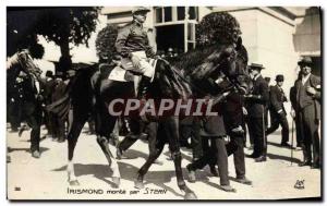 Old Postcard Horse Riding Equestrian Irismond up by Stern