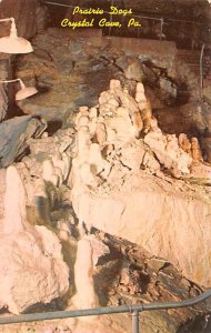 Prarie Dogs Crystal Cave, Pennsylvania PA s 