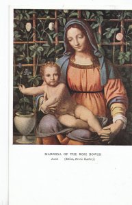 Art Postcard - Madonna of The Rose Bower - Luini -[Milan, Brera Gallery]  ZZ3266