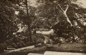 australia, QUEENSLAND, BRISBANE, Botanical Garden, Trinks-Bildkarte No. 791/10