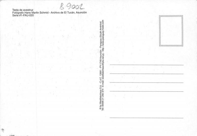 B9002 Animals Animaux Paraguay testa de Avestruz