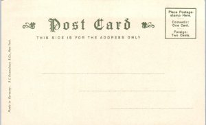 1900s Washington Tree Cambridge Massachusetts Postcard