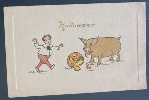 Mint USA Color Picture Postcard Halloween Pork Eating Pumpkin