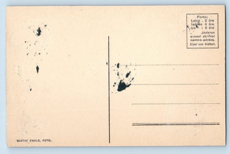 Sweden Postcard View from Motif From Nissan Houdini c1910 Antique Unposted