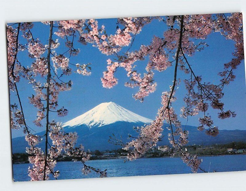 Postcard Lake Kawaguchi Mt. Fuji & Cherry Blossoms Japan