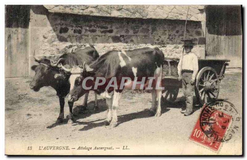 Old Postcard Folklore Auvergne Auvergne Hitch Child