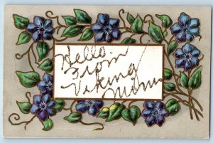 Viking Minnesota MN Postcard Hello Flowers Glitter Leaves Embossed 1910 Vintage