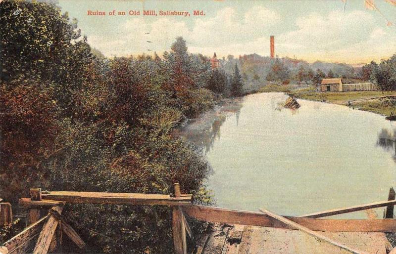 Salisbury Maryland Ruins of an Old Mill Vintage Postcard JA4742630