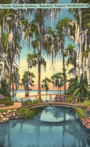 Vintage Postcard Cypress Garden America's Tropical Wonderland Landscapes Florida