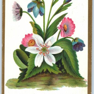 c1890s Lovely Flowers Stock Haddock's Trade Card #107 Scrapbooking No Adv. C35