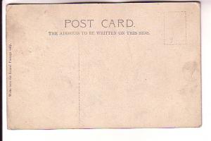 Early Valentine Series, Rough Seas, Seagulls