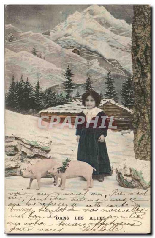 Old Postcard Cochon Pig Child