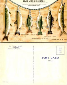 Some World Records The Fishing is Great in Canada Sportsman's Paradise (11703)
