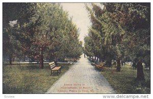 Avenue leading to Front Entrance, St. Mary´s Academy, Prarie du Chien, WIsco...