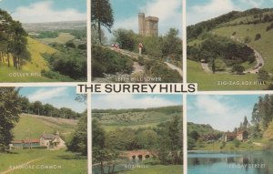 THE SURREY HILLS - Vintage POSTCARD