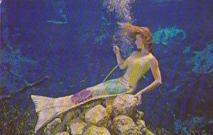 Mermaid Checking Her Hairdo Weeki Wachee Florida