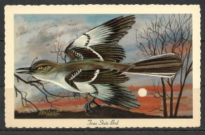 Texas - State Bird - Mockingbird - [TX-005]