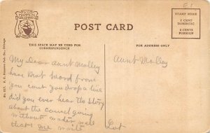 Coliseum Flower Show Chicago, Illinois 