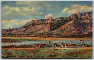 Vtg Albuquerque New Mexico NM Sandia Mountains Peak & Needle 1940s Postcard