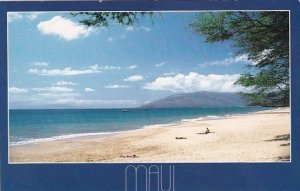 Hawaii Mauis Beautiful Beaches