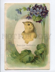 3048952 CHICKEN in Egg VIOLETS vintage EASTER RPPC Russia