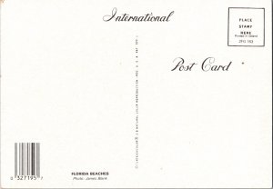 Florida Beach Sand Castle Vintage Continental Postcard CB7