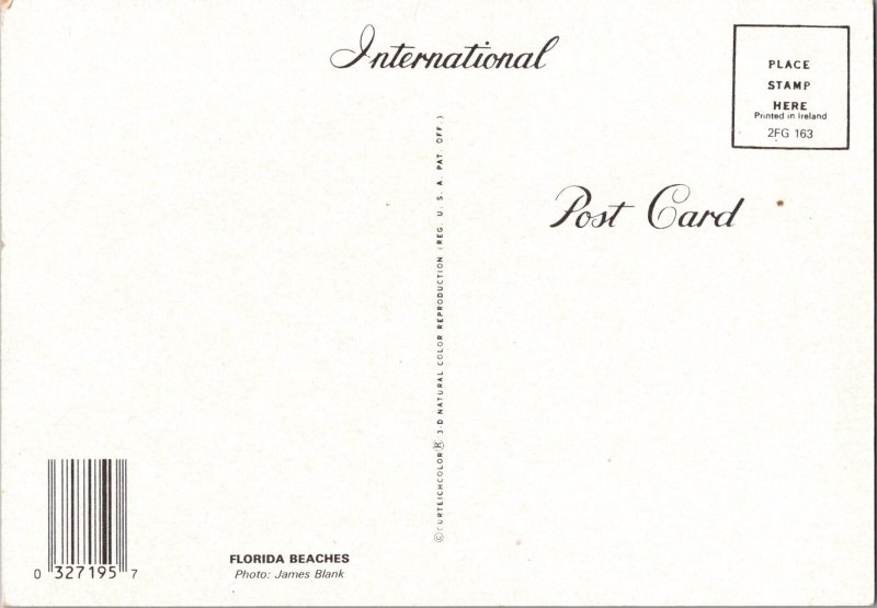 Florida Beach Sand Castle Vintage Continental Postcard CB7