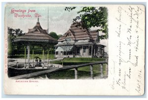 1905 Greetings From Arcadian Spring Waukesha Wisconsin Vintage Antique Postcard