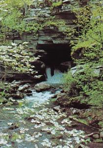 Arkansas Ozark National Forest Blanchard Springs