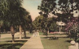 St. Petersburg Florida FL Fourth Ave Albertype Hand Colored Vintage Postcard